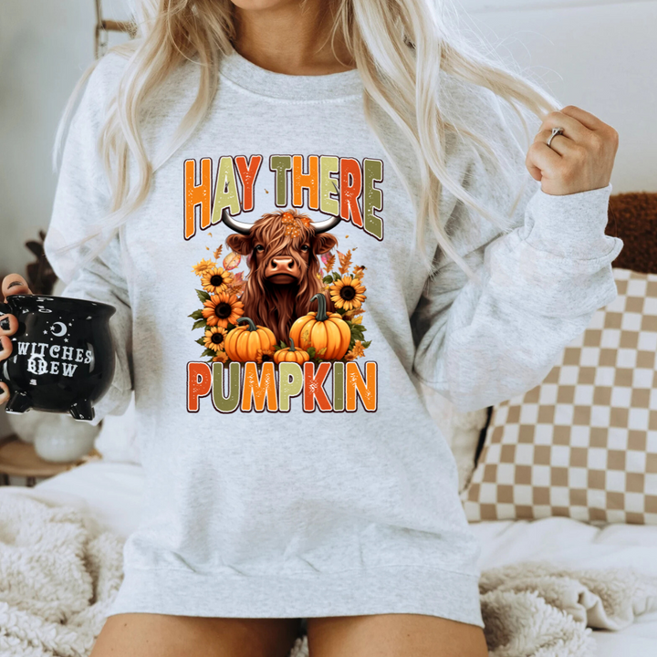 Hey There Pumpkin Sweatshirts