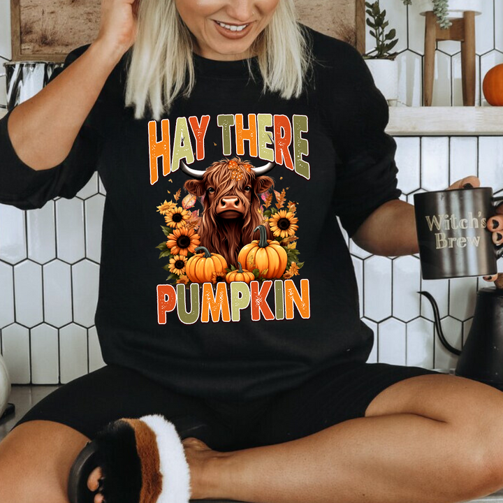 Hey There Pumpkin Sweatshirts