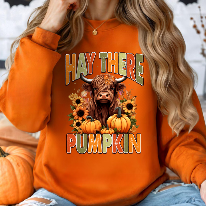 Hey There Pumpkin Sweatshirts