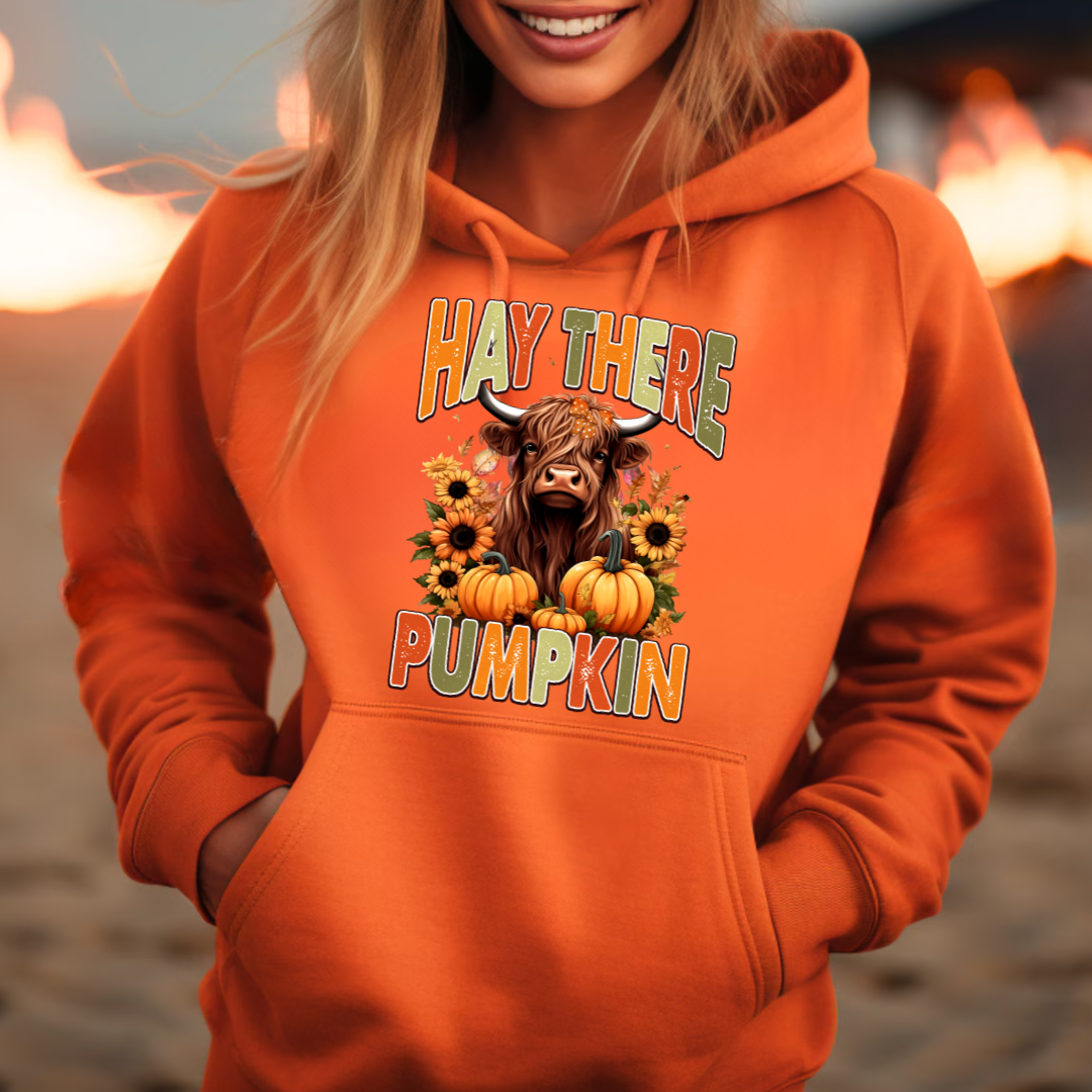 Hey There Pumpkin Sweatshirts