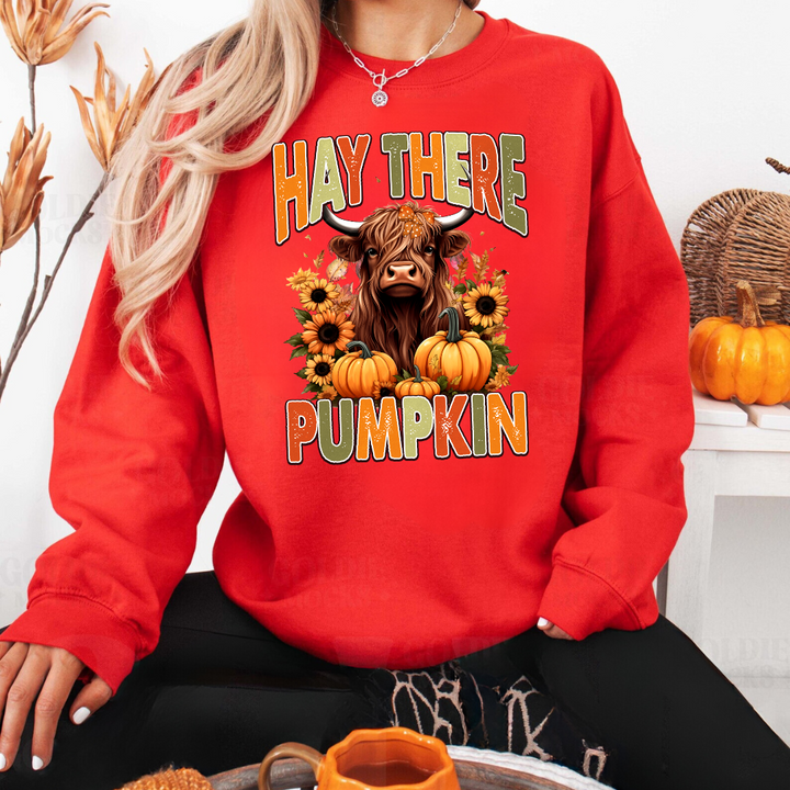 Hey There Pumpkin Sweatshirts