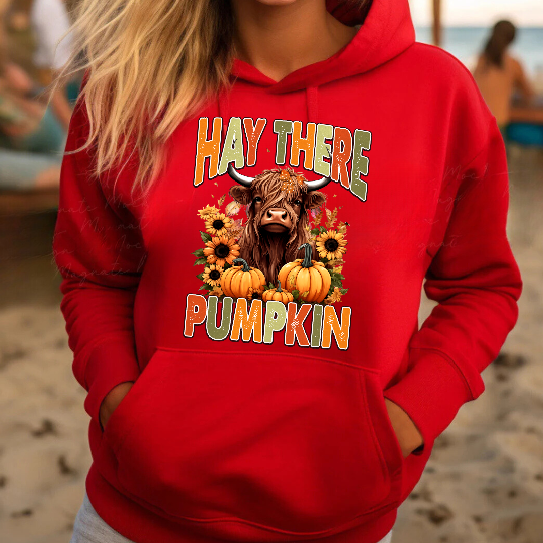 Hey There Pumpkin Sweatshirts