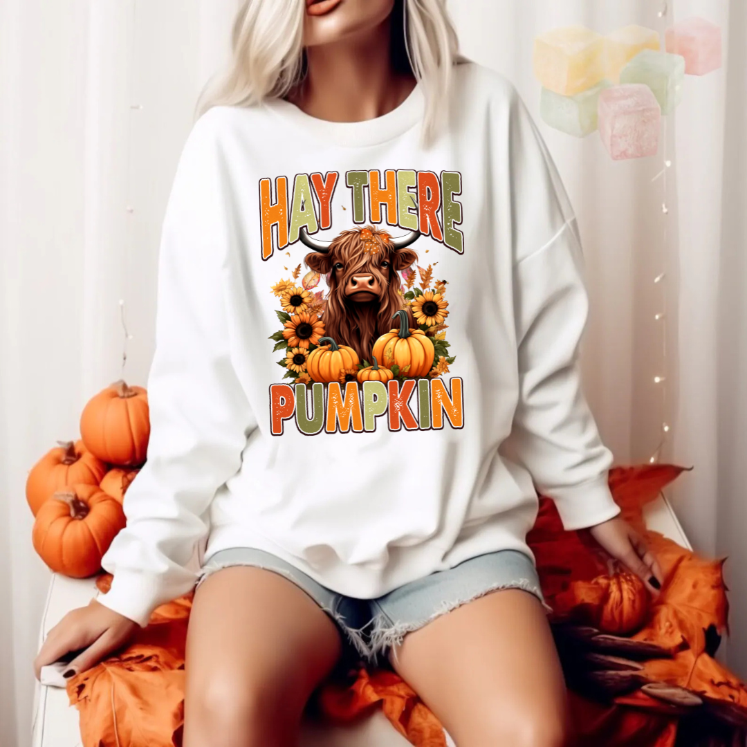 Hey There Pumpkin Sweatshirts